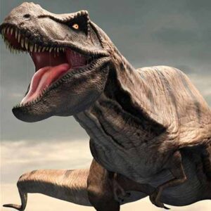 Talleres de cristalografía mineralogía, reconocimiento de fósiles y conferencia: La Extinción de los Dinosaurios