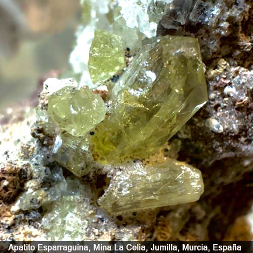 Apatito-Esparraguina-Murcia-512 Apatito Esparraguina, Mina La Celia, Jumilla, Murcia, España. Barahona Minerales.