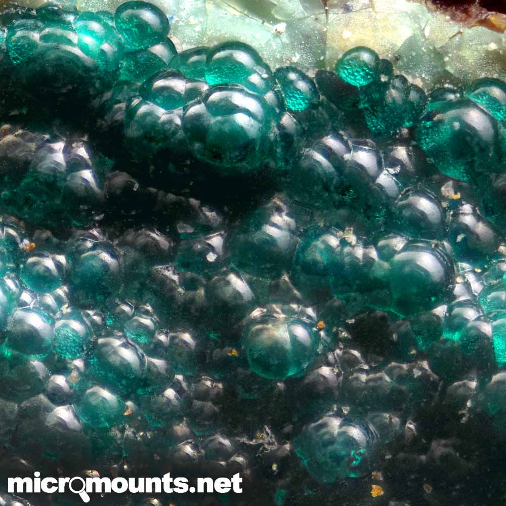 Cornwallita-La-Atalaya-Murcia-Spain-07 Micromount de Cornwallita proviene de la mina de cobre de la finca La Crisoleja, La Atalaya, Mazarrón, Región de Murcia, España. Barahona Minerales.