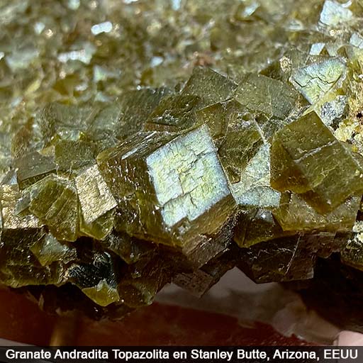 Granate-Andradita-512 Granate Andradita Topazolita, EEUU. Barahona Minerales.