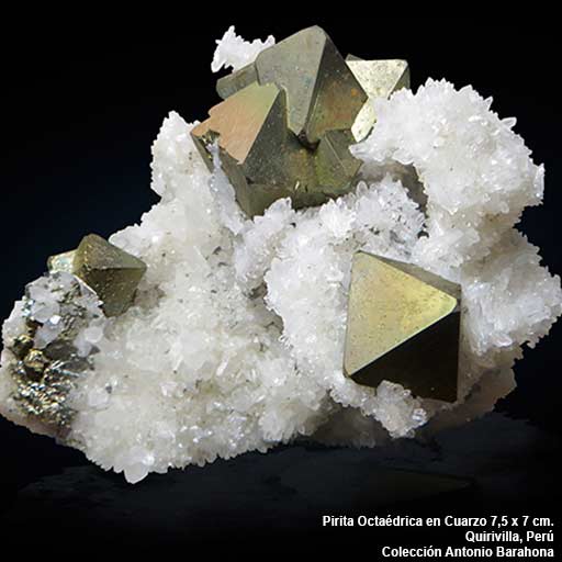 Pirita-octaedrica-Peru-512 Pirita Octaédrica en Cuarzo, Quirivilla, Perú. Barahona Minerales de Colección