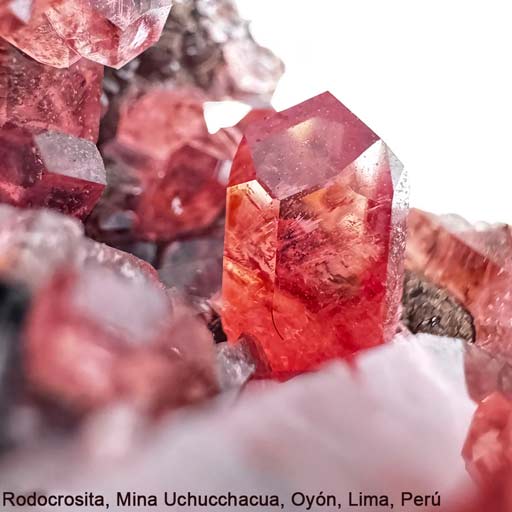 Rodocrosita-Peru-512 Rodocrosita, Cristal mayor: 1,6 x 0,8 cm.<br />
Mina Uchucchacua, Provincia de Oyón, Lima, Perú. Dimensiones: 8.5 x 5.6 x 6 cm. Barahona Minerales</p>
<p>