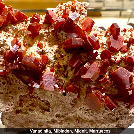 vanadinita-Marruecos-512-b Vanadinita , Mibladen, Marruecos. Barahona Minerales.